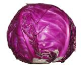 CHOU ROUGE KG