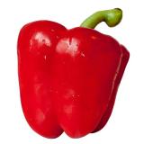 POIVRON ROUGE KG