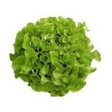 SALADE PIECE