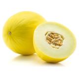 MANGUE IRWIN KG