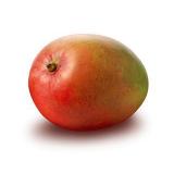 MANGUE PIECE
