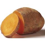 PATATE DOUCE KG