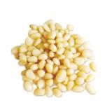 PIGNON DE PIN