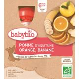 GOURDE POMME ORANGE BANANE X4
