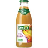 COCKTAIL 5 FRUITS
