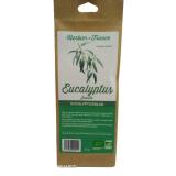 EUCALYPTUS