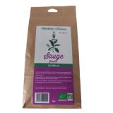SAUGE FEUILLE