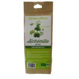 ALCHEMILLE