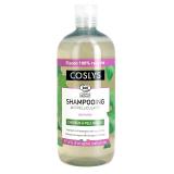 SHPG ANTIPELLICULAIRE 500ML