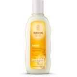 SHAMPOOING AVOINE