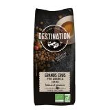 GRAND CRU EN GRAINS 1KG