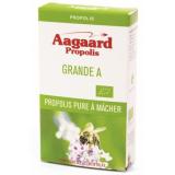 PROPOLIS BRUTE À  MÂCHER